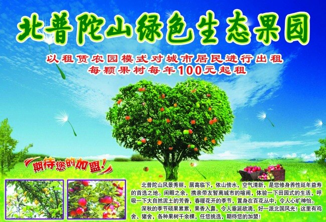 苹果 绿色生态 果园 生态果园 苹果生态园 苹果园 蓝色背景 苹果树 绿色
