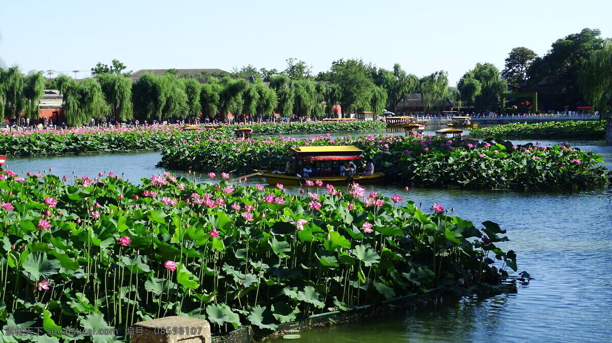 北京北海公园 风景