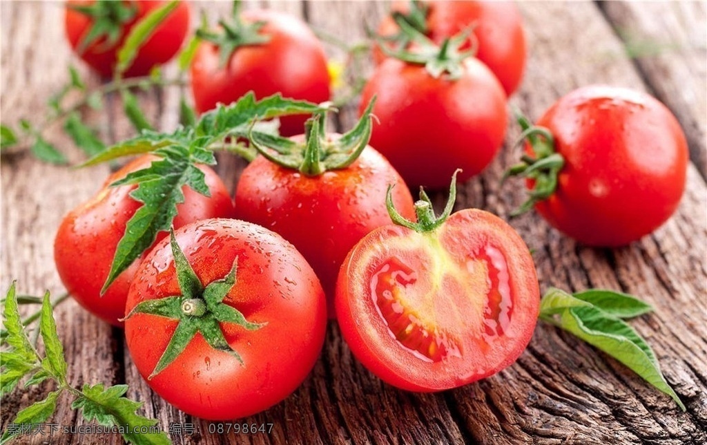 西红柿 番茄 柿子 蔬菜 食物 生物世界
