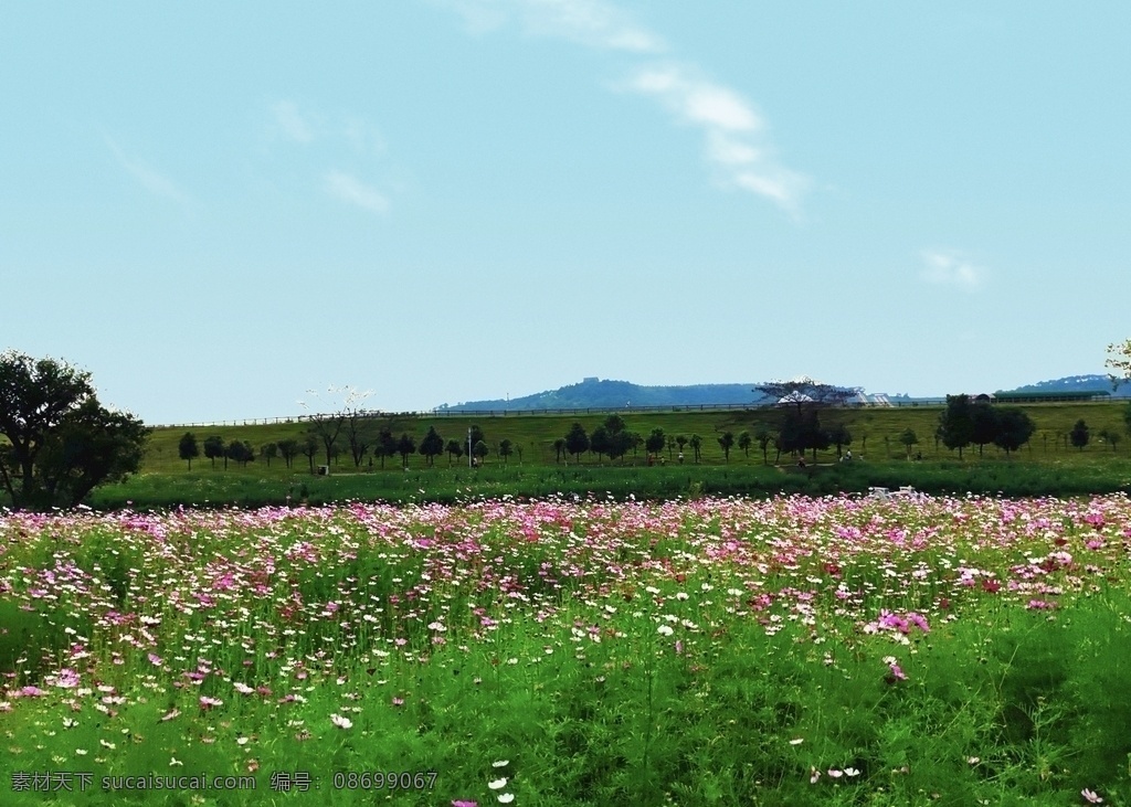木兰草原图片 蓝天 白云 草原 花朵 山脉 原创 旅游摄影 自然风景