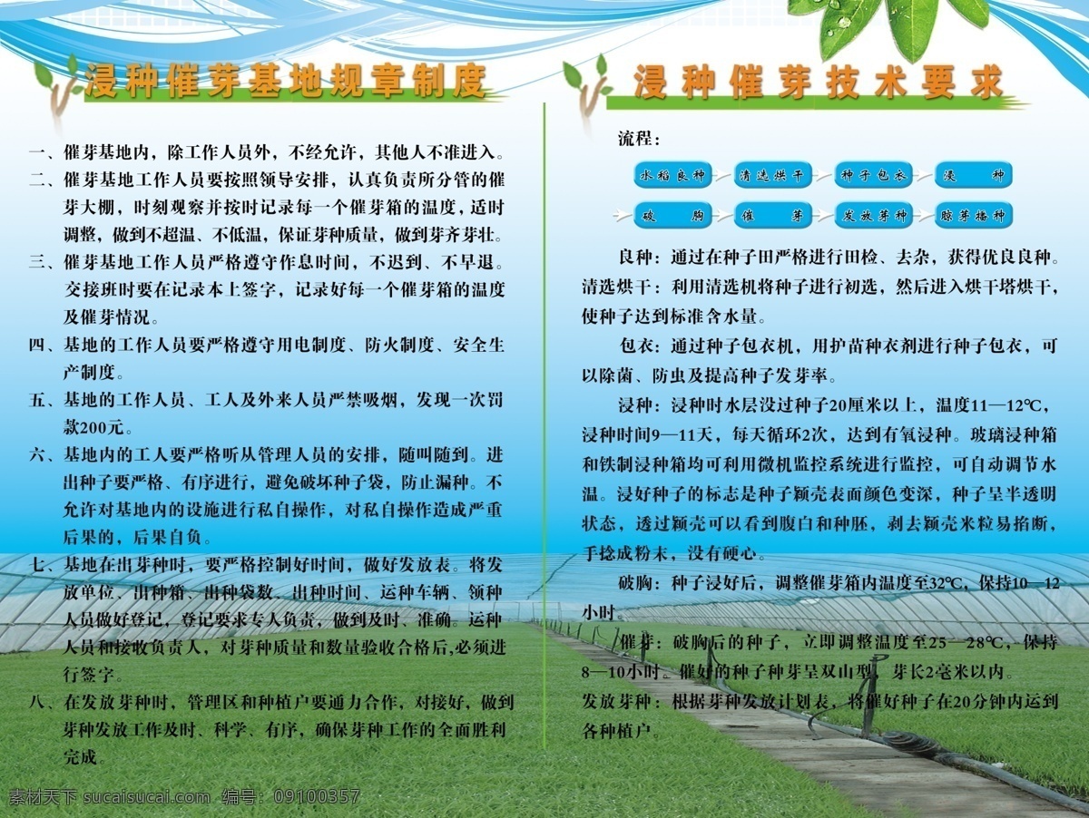 农业 图板 分层 标题 大棚 花边 蓝天 绿叶 水稻 农业图板 源文件 矢量图 日常生活
