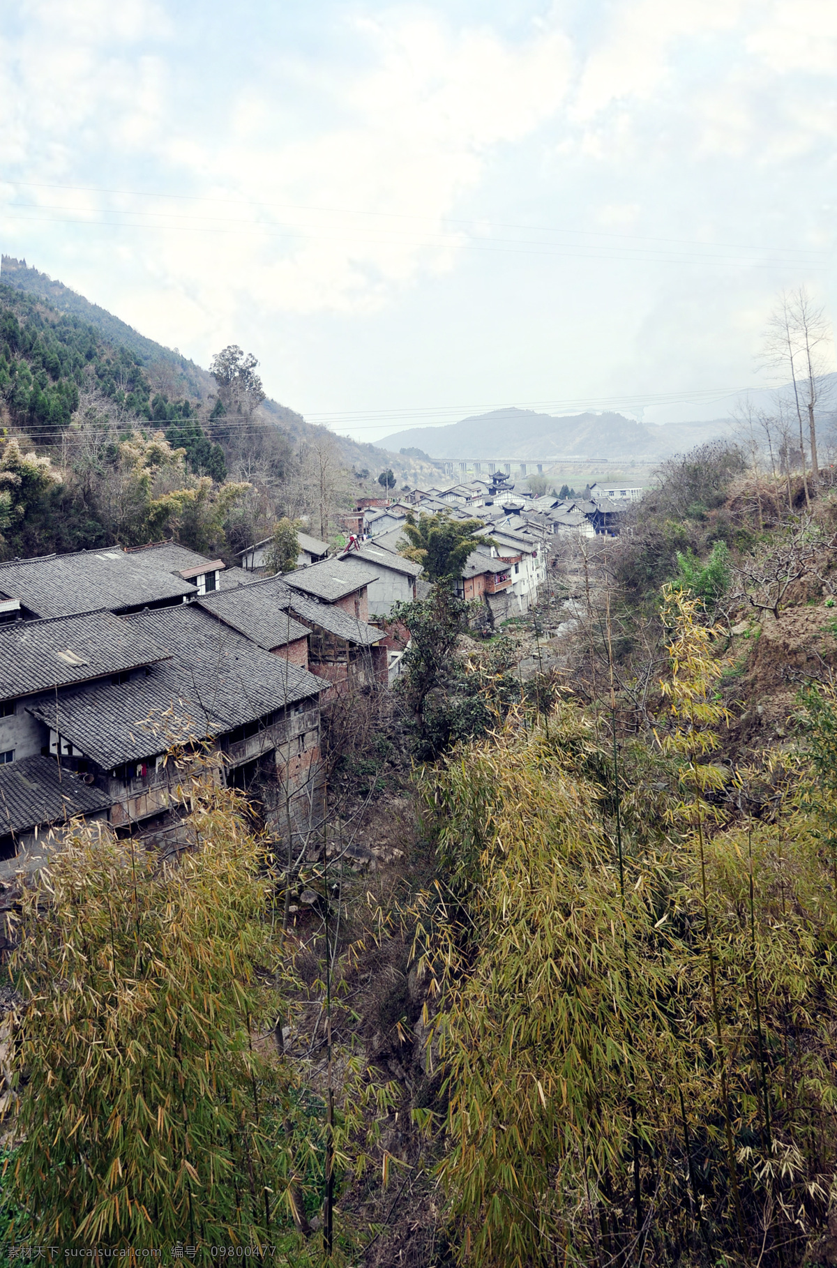 古镇 建筑摄影 建筑园林 瓦房 远景 竹 青林口 矢量图 日常生活