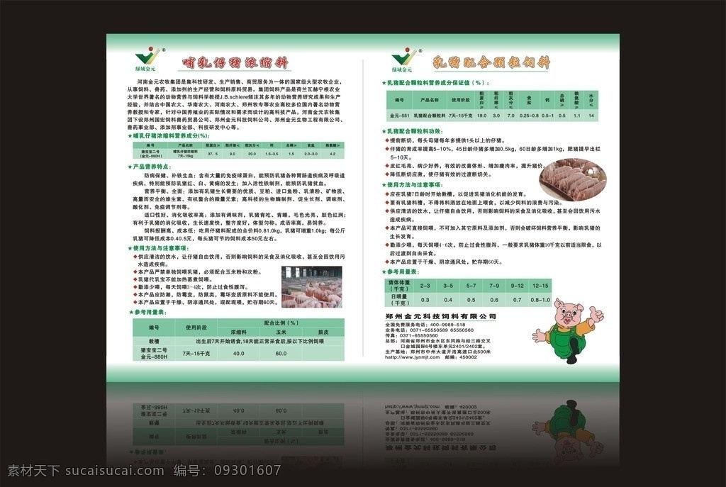 饲料单页 单页 猪饲料 矢量