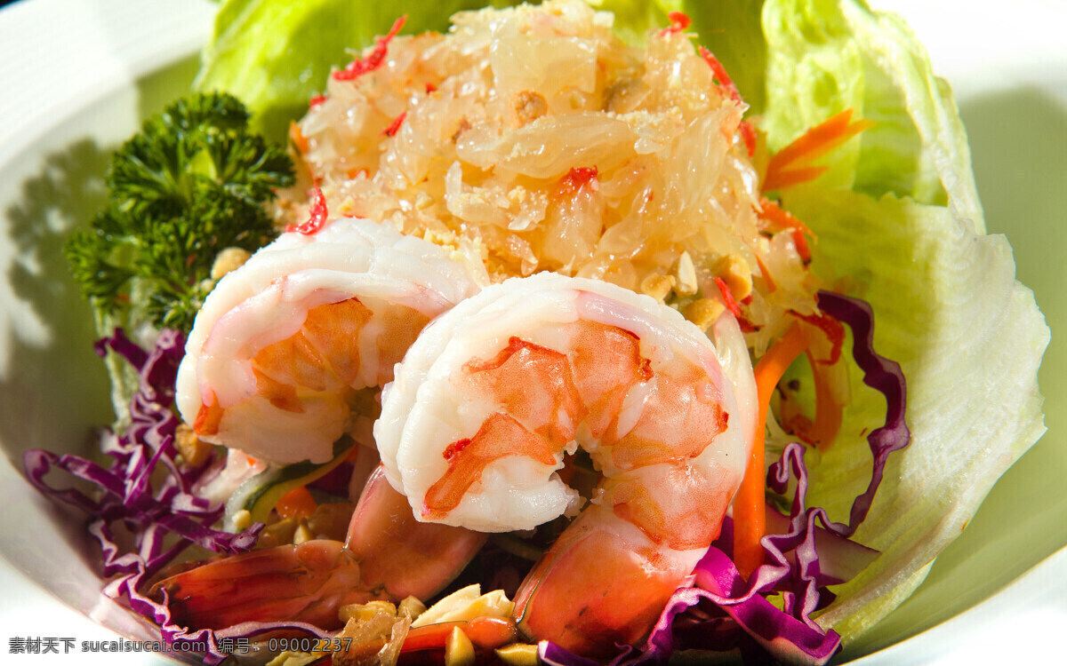 海蜇捞虾 泰式美食 美食摄影 美食特写 西餐 美食 西餐美食 餐饮美食