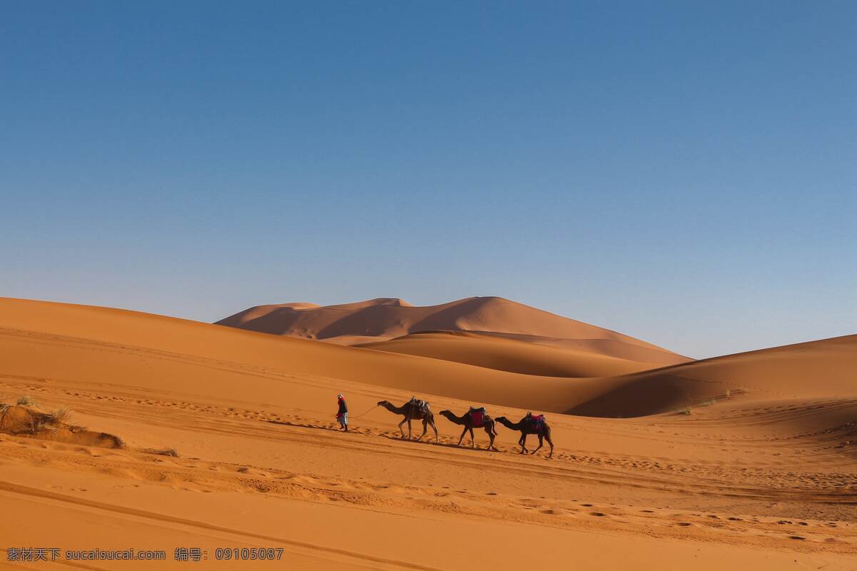 沙漠骆驼图片 沙漠 骆驼 天空 黄沙 丝绸之路 一带一路 沙丘 沙子 脚印 驼铃 驼队 西域 自然景观 自然风景
