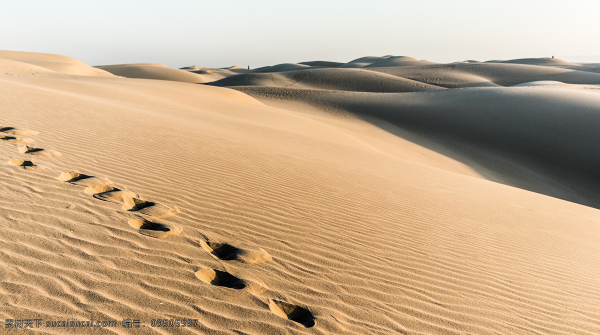 荒凉沙漠 沙幕 荒漠 戈壁 沙丘 沙子 沙粒 黄沙 荒凉 荒芜 沙漠风景 沙漠风光 自然 地理 地貌 地况 地面 自然景观 自然风景 杂