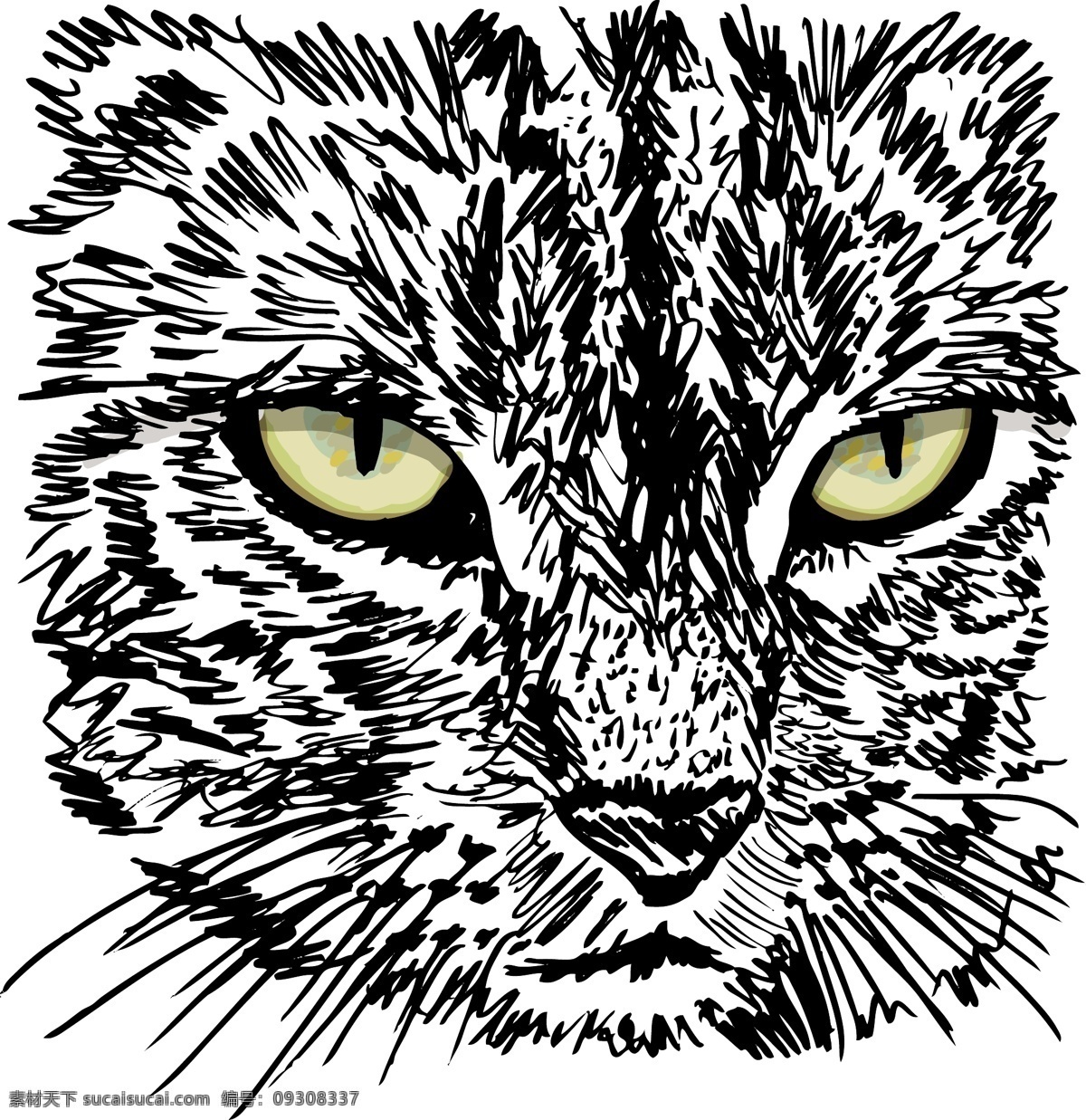 好奇 小猫 素描 看着 地面 上 矢量 插画 东西 矢量图 其他矢量图