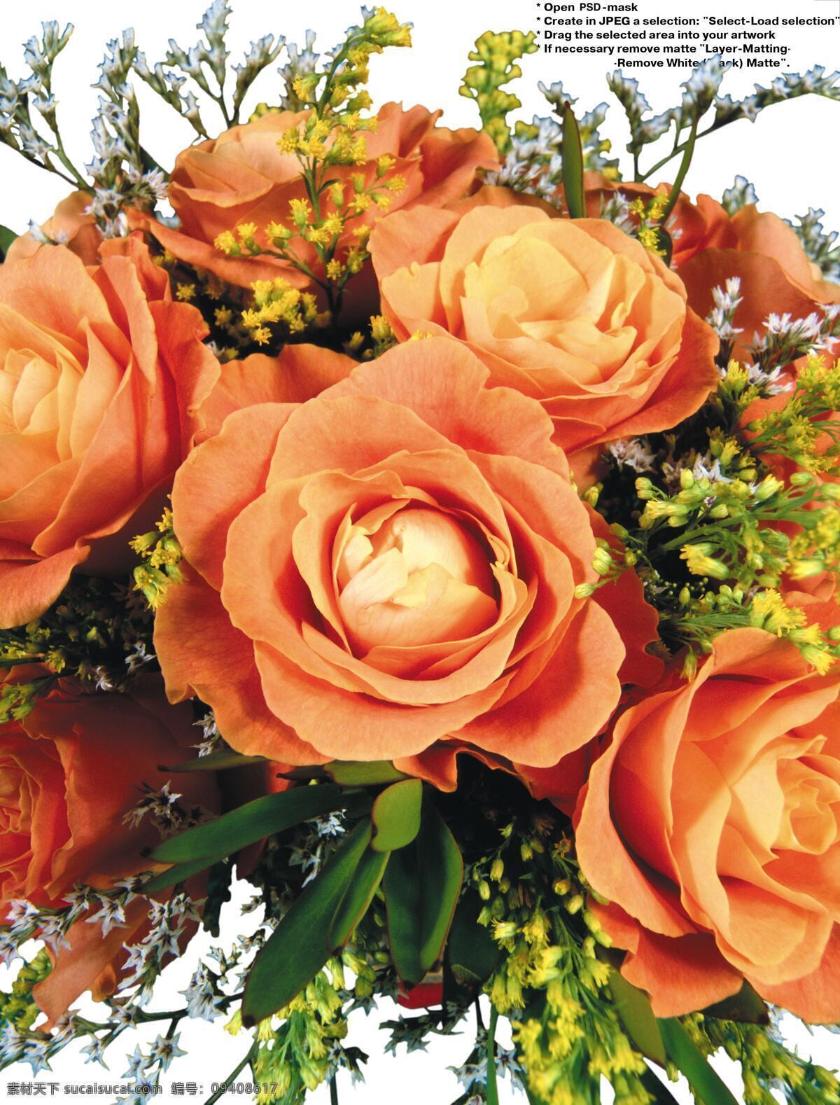 花篮 里 玫瑰花 高清 图 插花 红花 花苞 花朵 花卉 花瓶 花束 绿叶 玫瑰 植物 鲜花 psd源文件