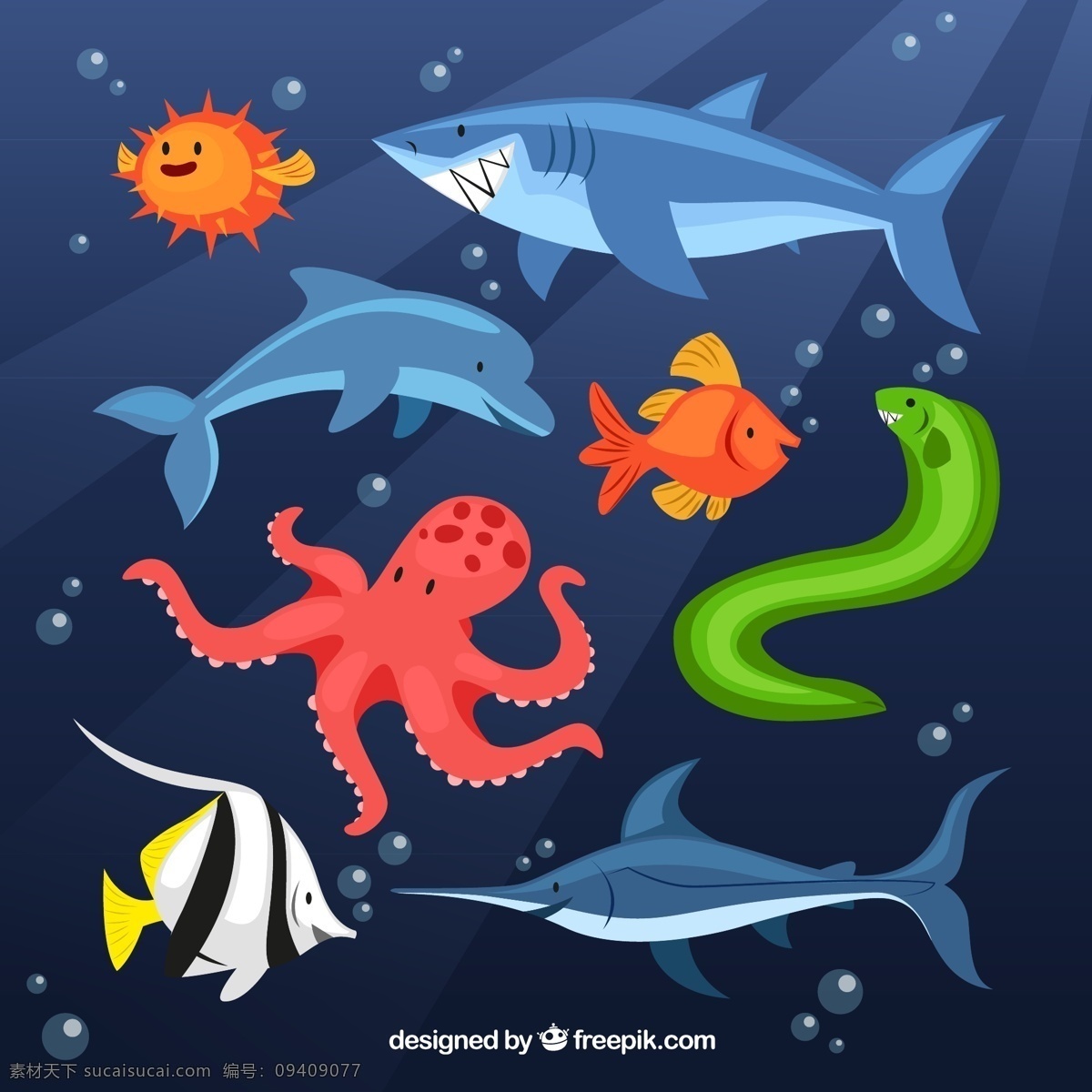 款 卡通 海洋 动物 矢量 河豚 鲨鱼 鲸鱼 海鳗 章鱼 青枪鱼 热带鱼 鱼 海洋动物 大海 海豚 矢量图