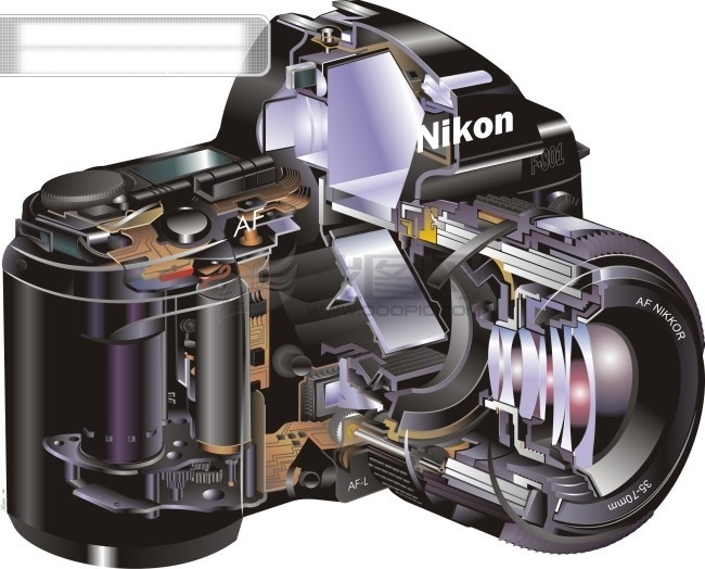1996 年 尼康 f801 结构 矢量元素 相机 照相机 矢量图 现代科技