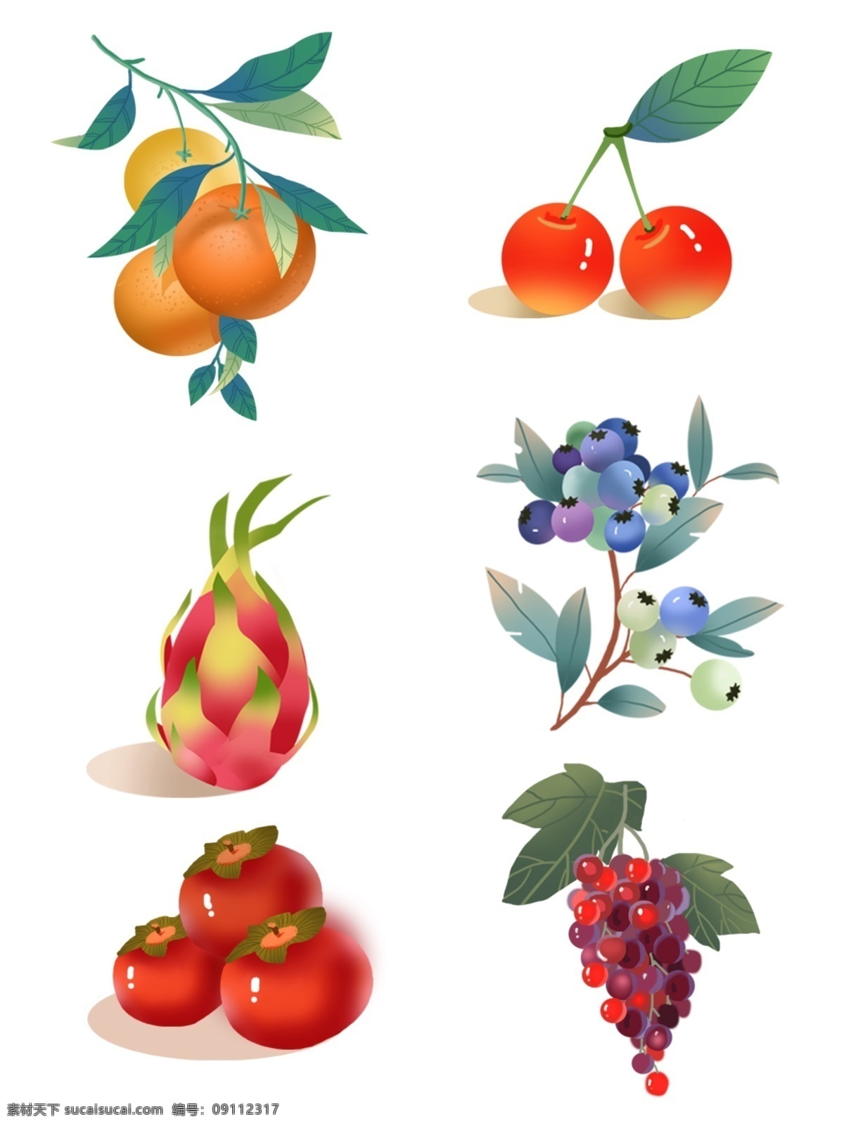 水果 合集 商用 插画 橘子 樱桃 火龙果 蓝莓 葡萄 柿子 插画元素