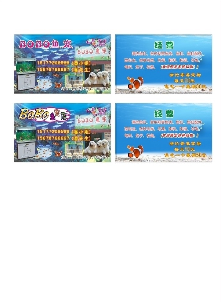 鱼宠店名片 鱼宠 bobo 名片 宠物 鱼 名片卡片 矢量