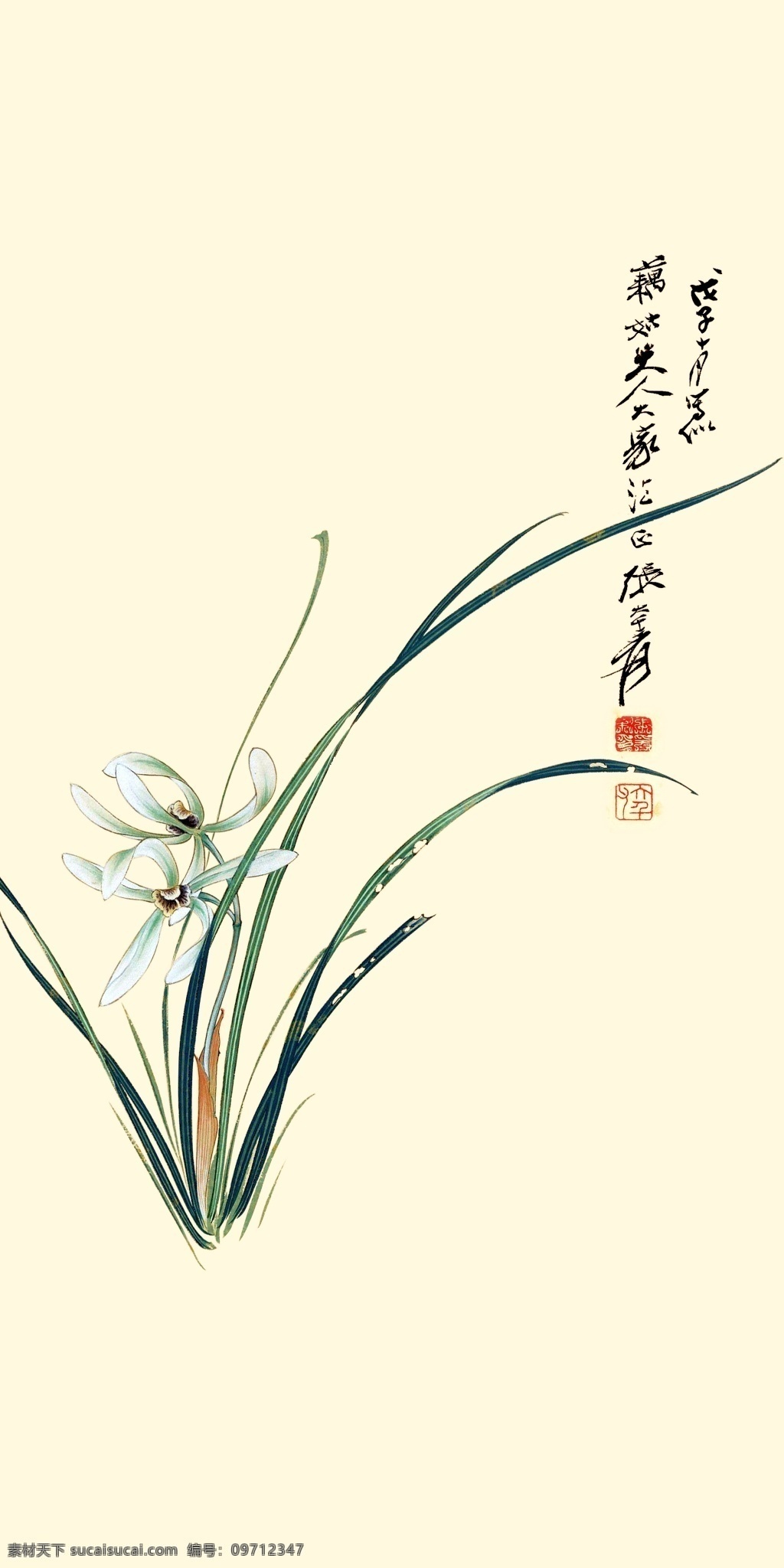 手绘 彩绘 株 植物 绘画 装饰 一株植物 古典 花朵 名画
