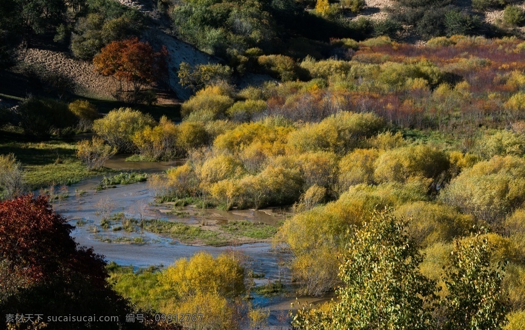 塞罕坝 秋 之一 河流 树木 暖阳 自然景观 自然风景