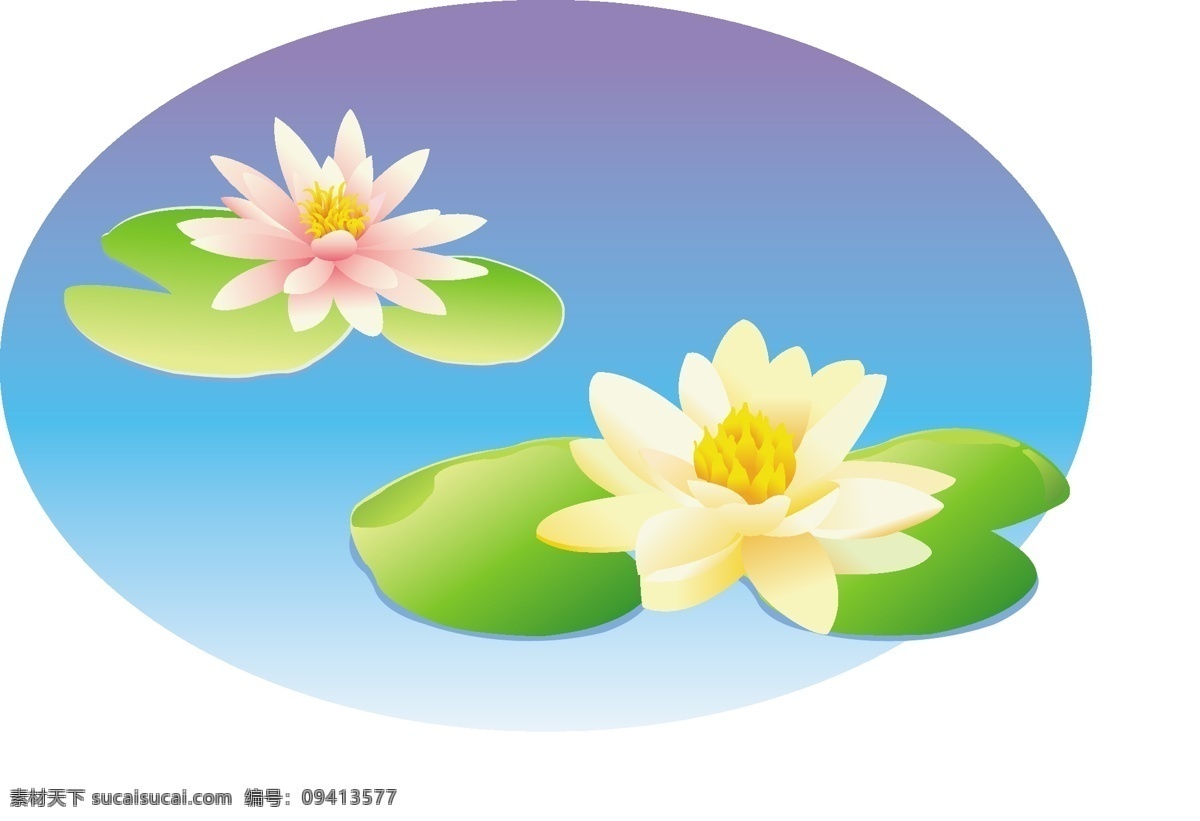 荷花 矢量图 荷花矢量图 花草 生物世界 矢量 模板下载