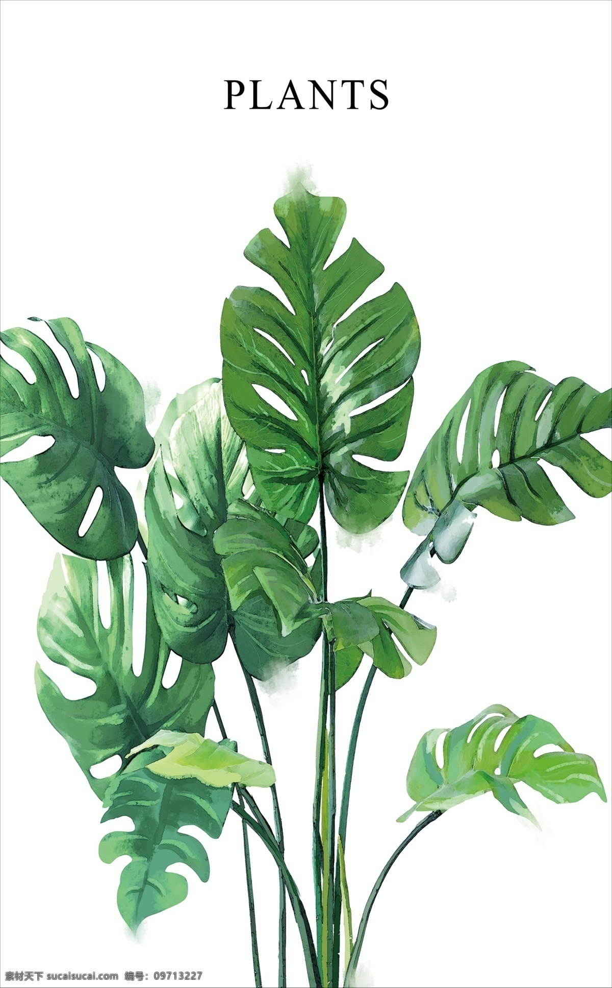 叶子壁纸 蕨类植物 墙布 壁画 蕨类 热带雨林 树林 雨林 椰树 北欧风