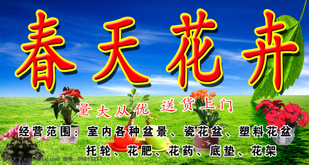 春天花卉 春天 花卉 花 花店
