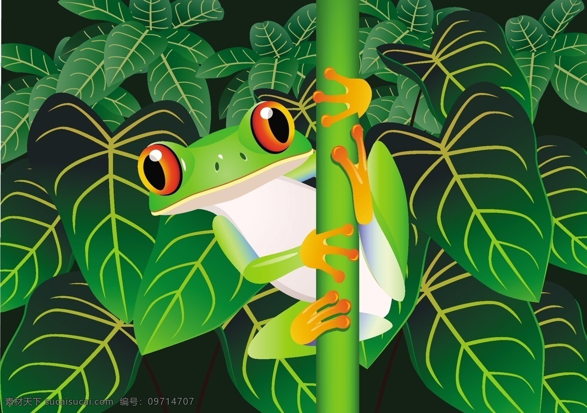 热带雨林 中 青蛙 卡通 漫画 动物 蟾蜍 背景 绿叶 树叶 叶子 叶片 绿色 环保 树干 树杆 两栖动物 可爱 儿童 卡片 图卡 识图卡 卡通素材 卡通形象 野生动物 生物世界 矢量