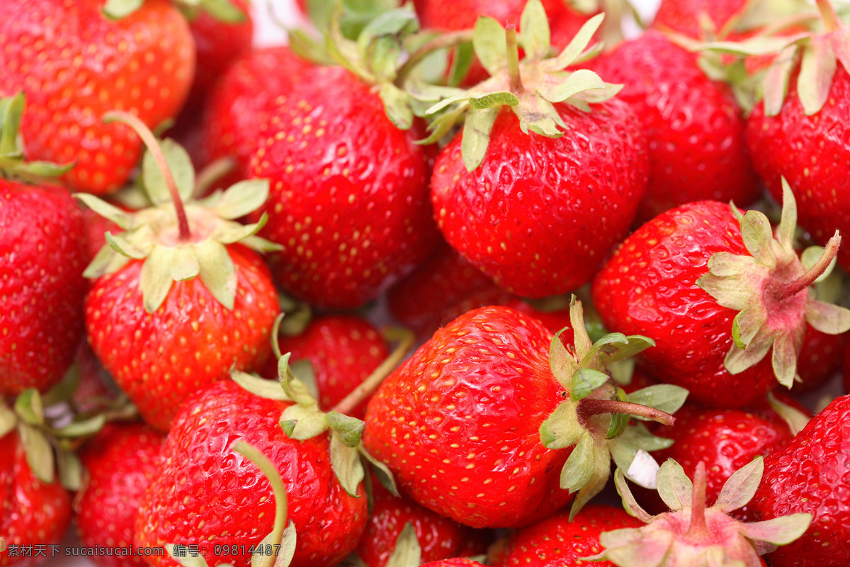 红色 草莓 背景 水果背景 果实 果子 水果 新鲜水果 水果图片 餐饮美食