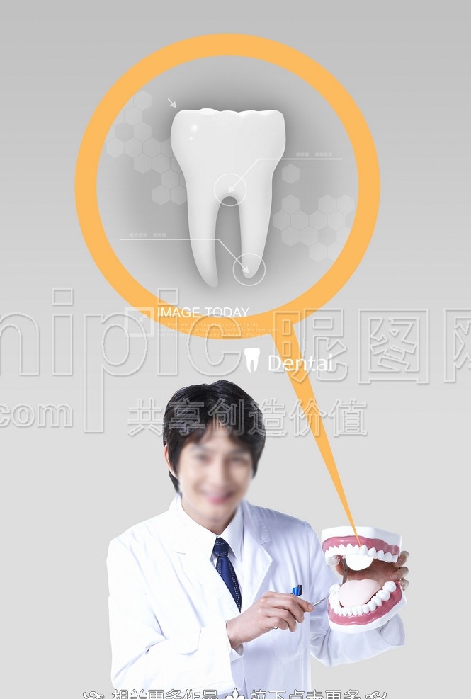 牙医 牙科医生 牙科 牙齿 牙龈 牙医学会 牙模型 雪白牙齿 一颗牙齿 医疗保健 分层 源文件