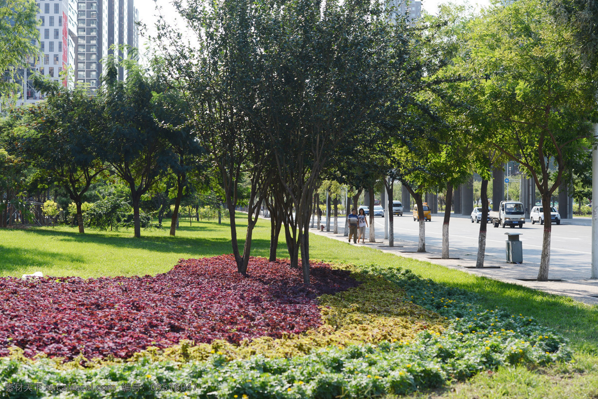 草坪 春季 春暖花开 花草树木 自然风景 自然景观 绿化 景色 绿化景色 鲜花怒放 树木茂盛 绿色景色 晴好天气 石家庄 槐 安 路 美景