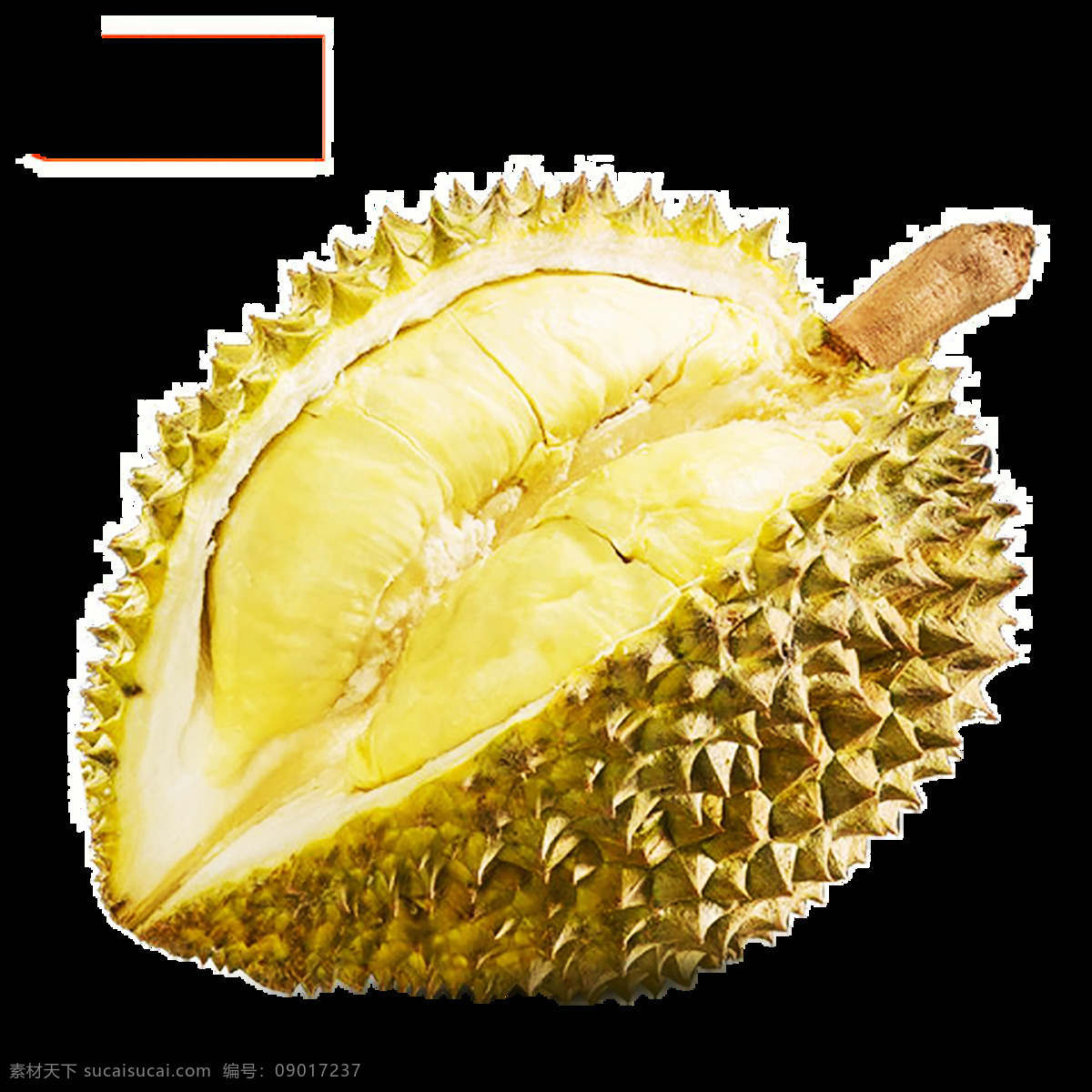 榴莲 水果 新鲜水果 蔬菜 苹果 梨 香蕉 橘子 葡萄 猕猴桃 樱桃 草莓 桃子 柠檬 花菜 包菜 青椒 荔枝 蓝莓 西瓜 西红柿 哈密瓜 果店展板 水果图片 水果画册 水果蔬菜 有机水果 水果易拉宝 水果背景 水果挂图 水果展架