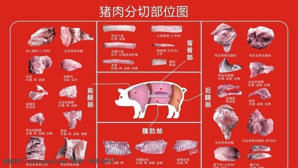 猪肉分割图 猪肉 分割图 上肉 排骨 后肉 餐饮美食 生活百科