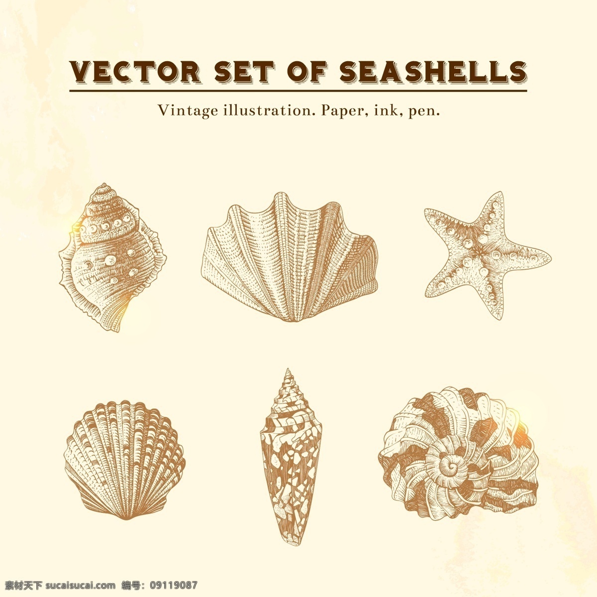 贝壳 矢量图 ai格式 大海 淡黄色背景 海贝 海螺 海星 沙滩 其他矢量图