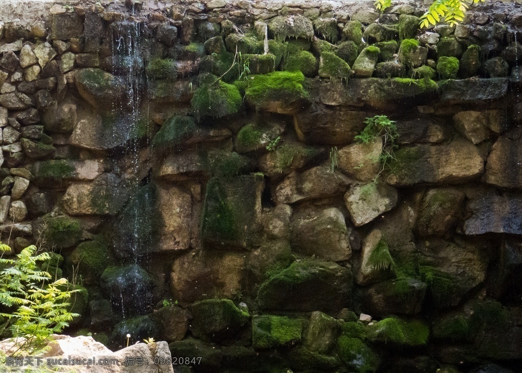 苔藓墙体 苔藓 苔藓墙 细水长流 石头墙 绿石墙 建筑园林 园林建筑