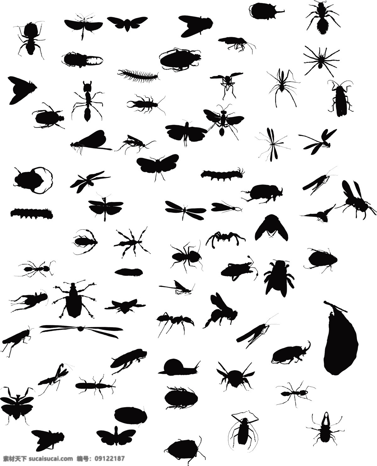各种 虫 类 矢量 蚂蚁 黄色色调 黑色昆虫 矢量图 其他矢量图
