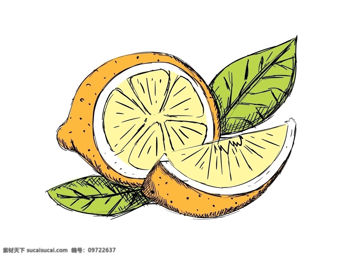 柠檬手绘 手绘 插画 水果 柠檬 健康 维他命c 卡通柠檬 矢量柠檬 元素