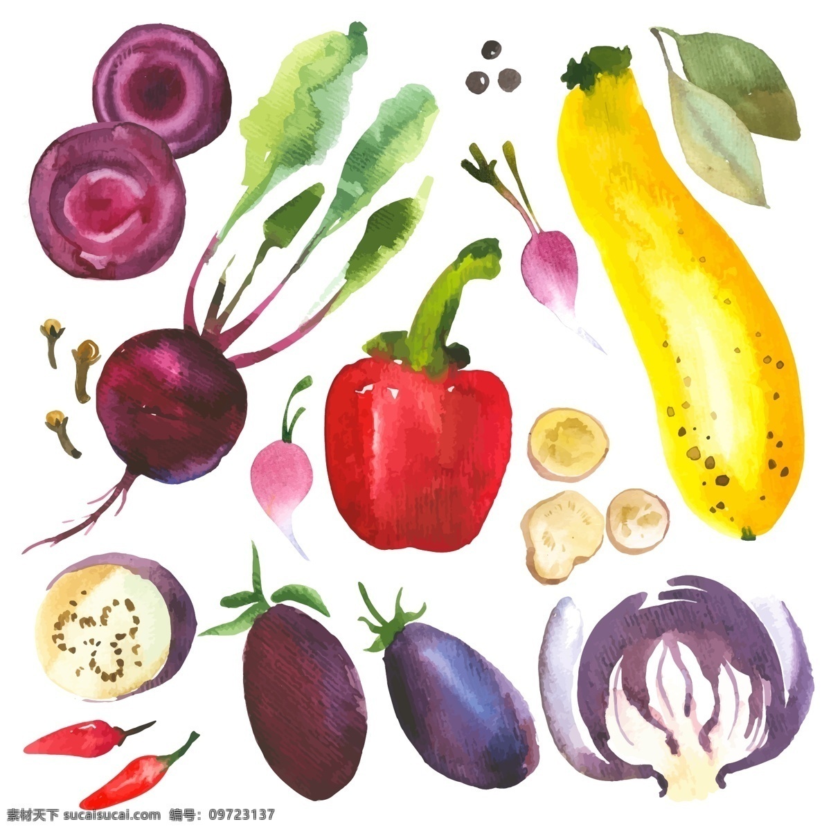 水彩 绘 蔬菜 水果 插画 艺术 唯美 手绘 水彩绘 萝卜 茄子