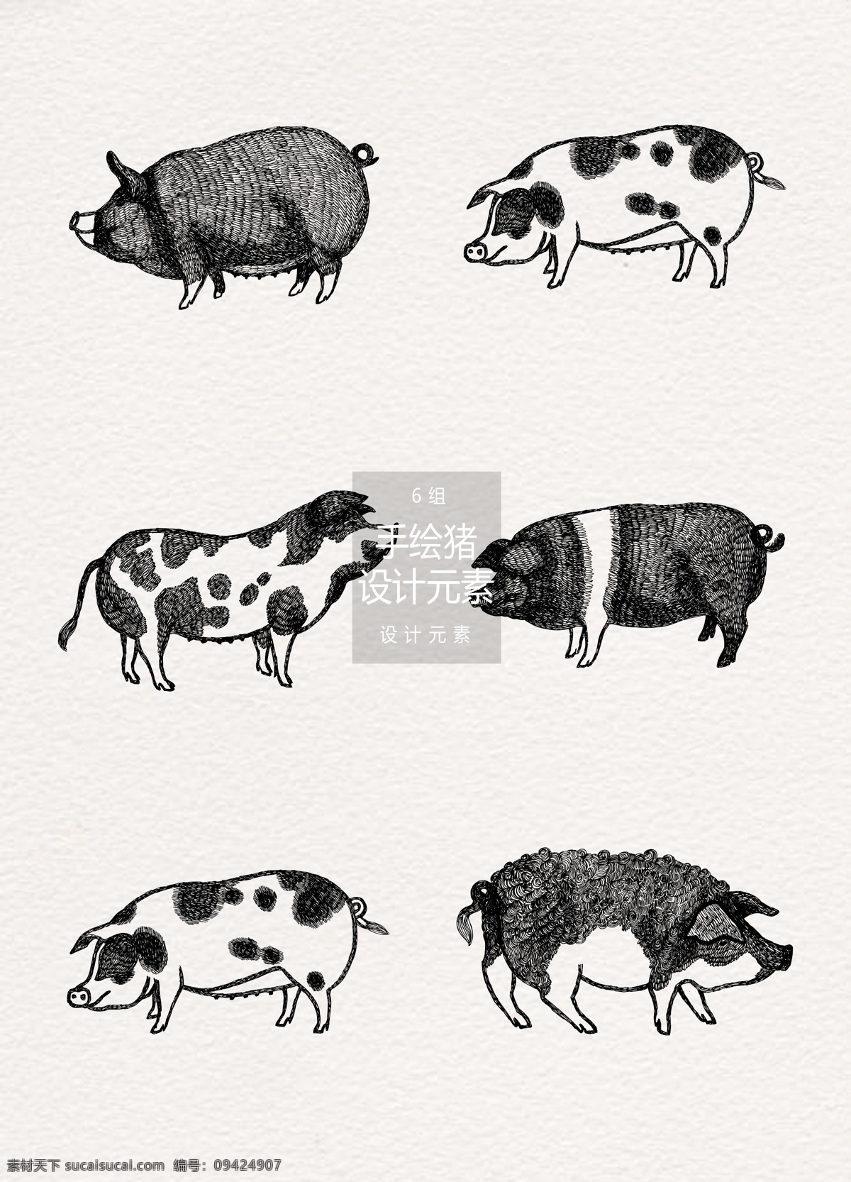 手绘 猪 插画 元素 家畜 小猪 猪年 设计元素 猪插画 手绘猪