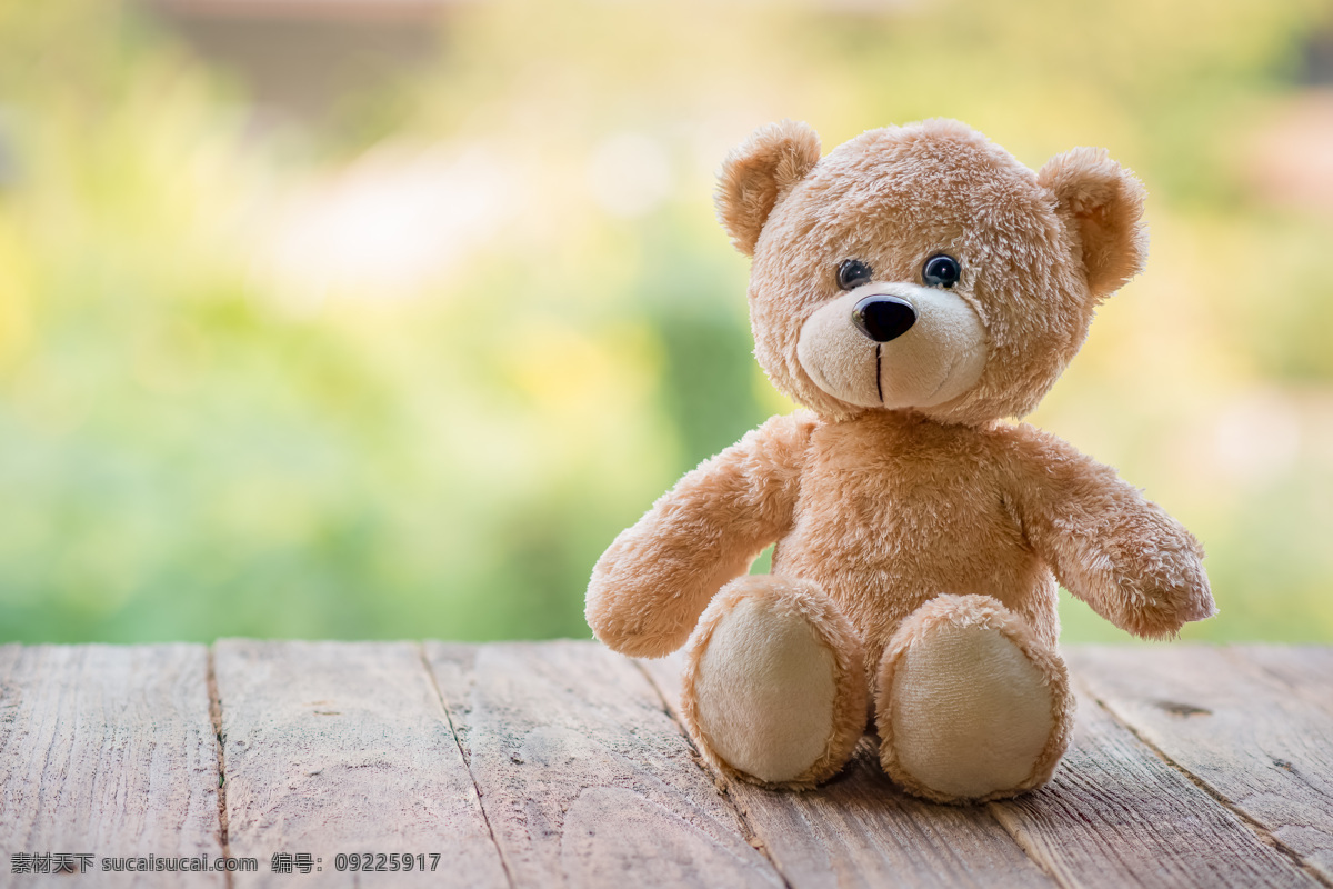 可爱 毛绒 小 熊 高清 玩具熊 泰迪熊 近景 特写 木纹