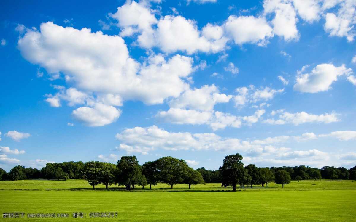 蓝天白云草地 草地 草原 蓝天 白云 背景 草原背景 蓝天白云 绿草地 高清 绿草 草地背景 蓝天草地背景 绿色草地 草地蓝天 绿草地背景 草地天空 高清草地 天空草地 草地风景 草坪 绿地 天空 蓝天背景 自然景观 自然风景