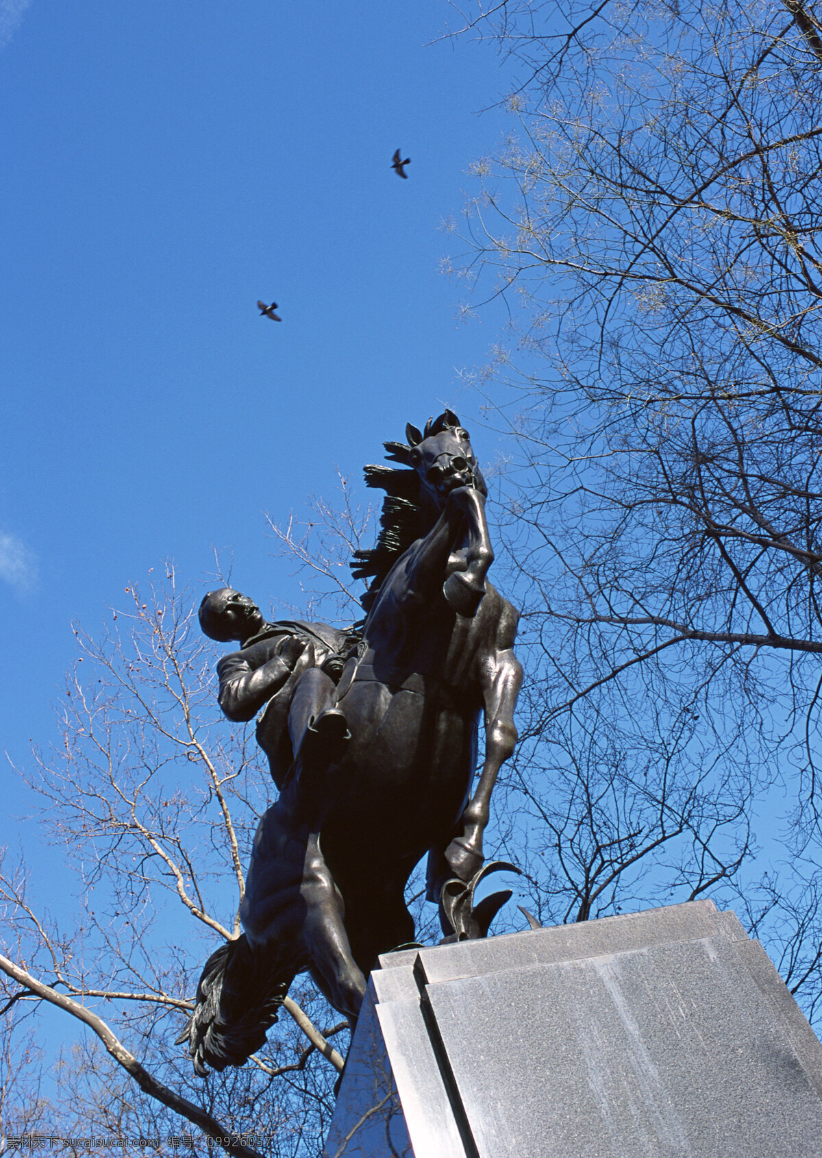 美国雕塑43 美国 雕塑 骑士 马 石阶 蓝色