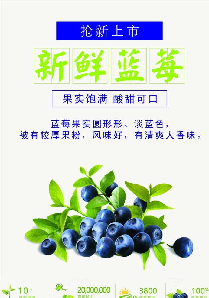 蓝莓海报 新鲜水果 水果海报 水果促销 蓝莓 水果蓝莓 水果宣传 进口水果 绿色食物 营养健康 新鲜 清新 简单