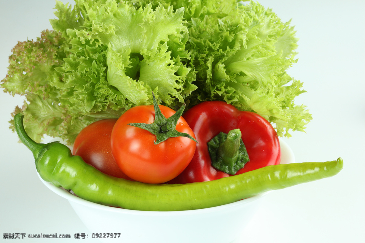 西红柿 辣椒 绿色蔬菜 青辣椒 生菜 生物世界 蔬菜 蔬菜水果 蕃茄 新鲜蔬菜 风景 生活 旅游餐饮