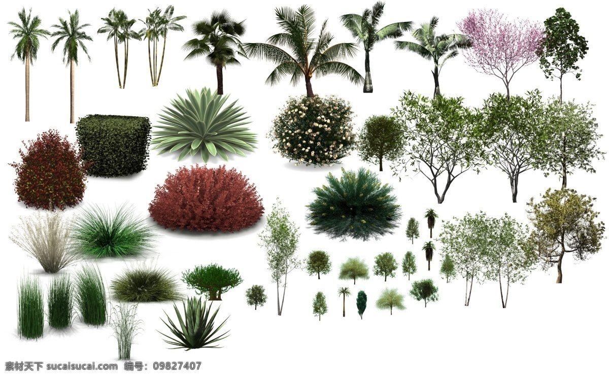 分层 灌木 环境 绿化 树木 效果图素材 园林 源文件 植物 模板下载 植物素材 装饰素材 园林景观设计