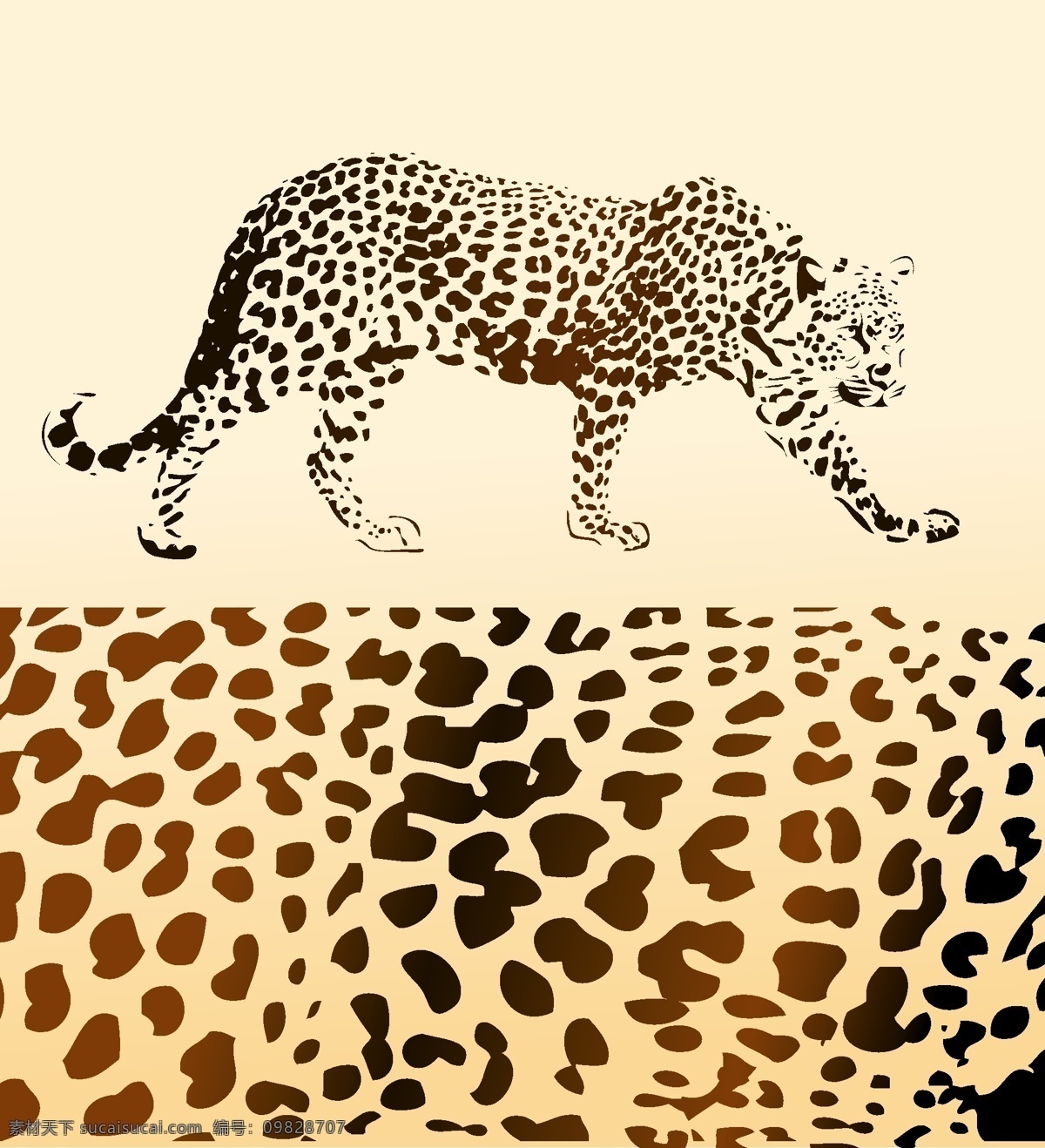 豹纹花纹 豹纹 花豹 底纹 花纹 豹子 生物世界 野生动物