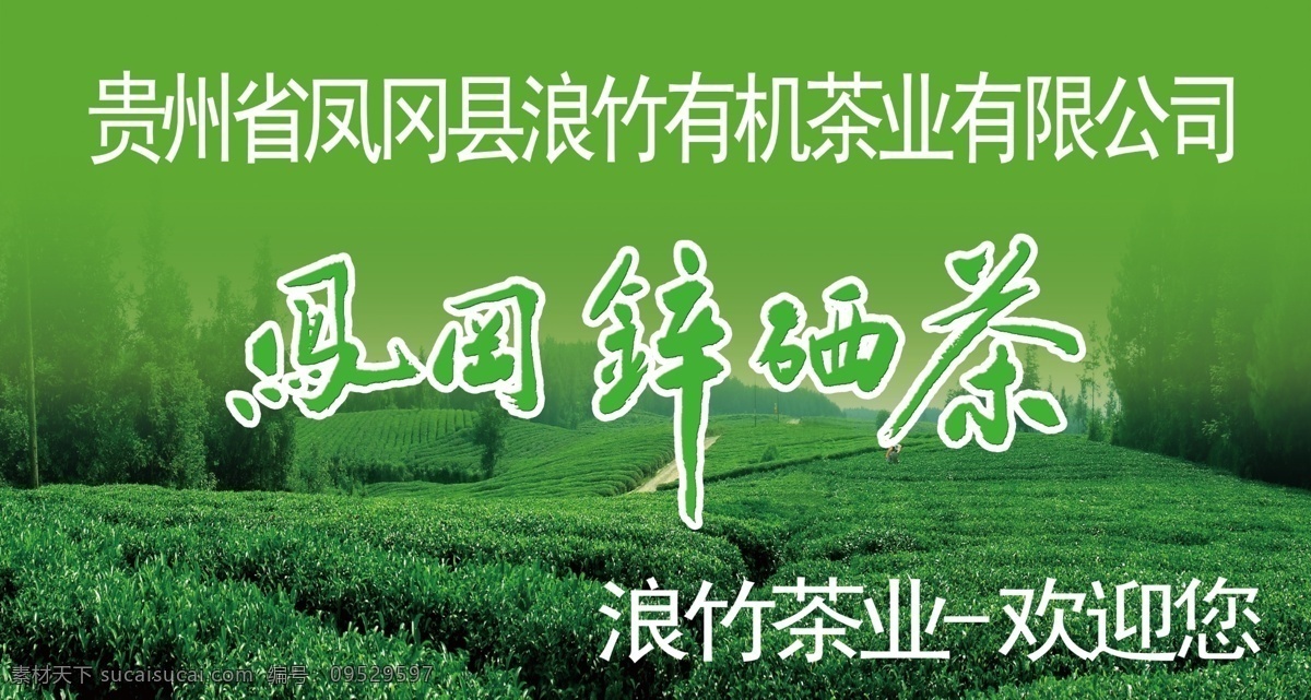 浪 竹 有机 茶 分层 茶叶 源文件 浪竹有机茶 凤岗锌硒茶 矢量图 日常生活