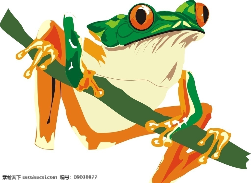 青蛙 绿色青蛙 可爱青蛙 大眼睛青蛙 捕食 动物 野生动物 生物世界
