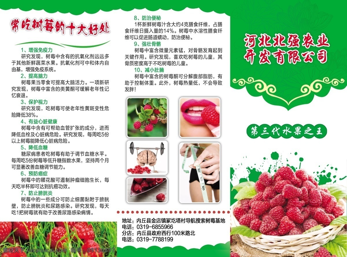 红莓 新鲜树莓 树莓篮 树莓酱 树莓果酱 一篮树莓 树莓种植 水果批发 水果挂图 水果画册 树莓海报 树莓广告 树莓水果 树莓文化 树莓宣传 批发 树莓专卖 树莓基地 树莓节 树莓素材 高清 树莓 树莓图片 美味 超市 蔬菜水果 水果创意 水果设计 覆盆子 水果 野果葚 桑葚干 葚果 紫桑