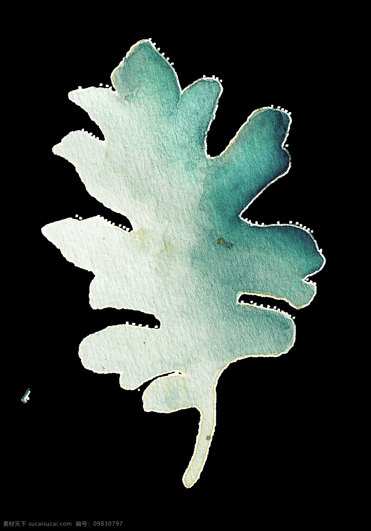 白兰 花叶 卡通 透明 圆叶 植物 透明素材 免扣素材 装饰图案