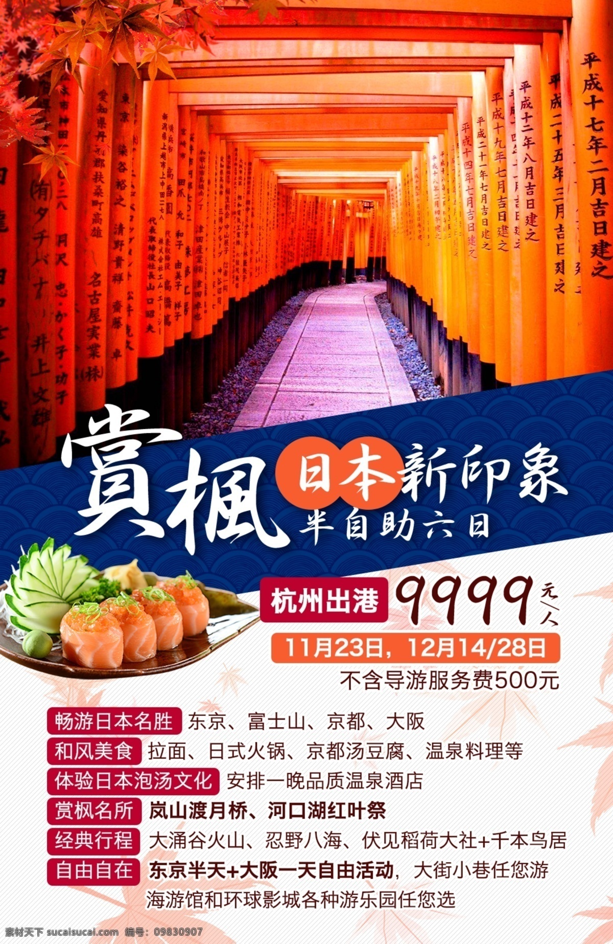 赏 枫 日本 新 印象 出境旅游 海报 出境 枫叶 高端 旅游 鸟居 赏枫