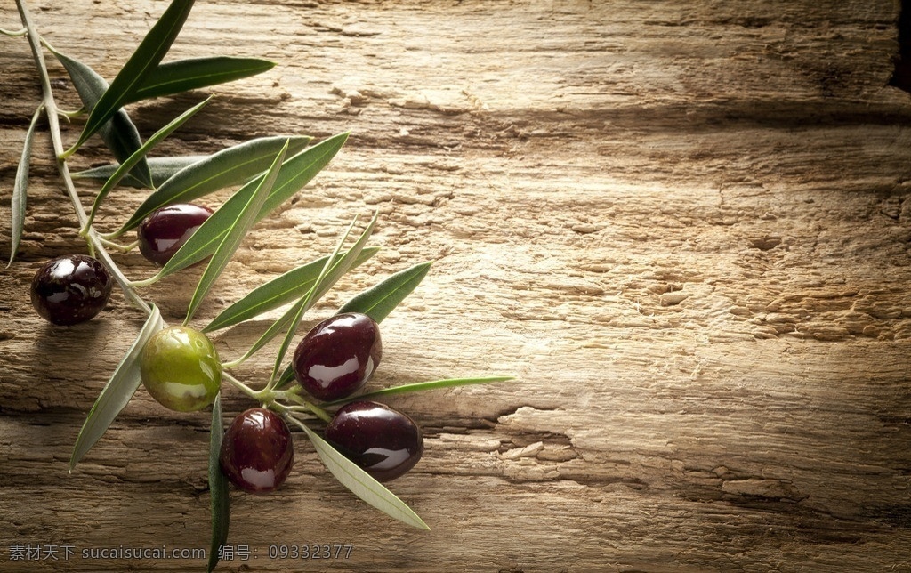 橄榄 橄榄果 橄榄叶 橄榄枝 橄榄果实 蔬菜 生物世界