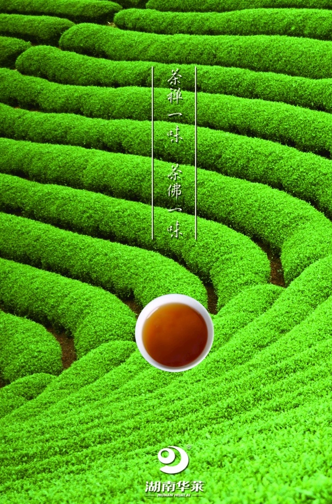 茶山 茶禅一味 茶山园 一盏茶 湖南 华莱logo 招贴设计