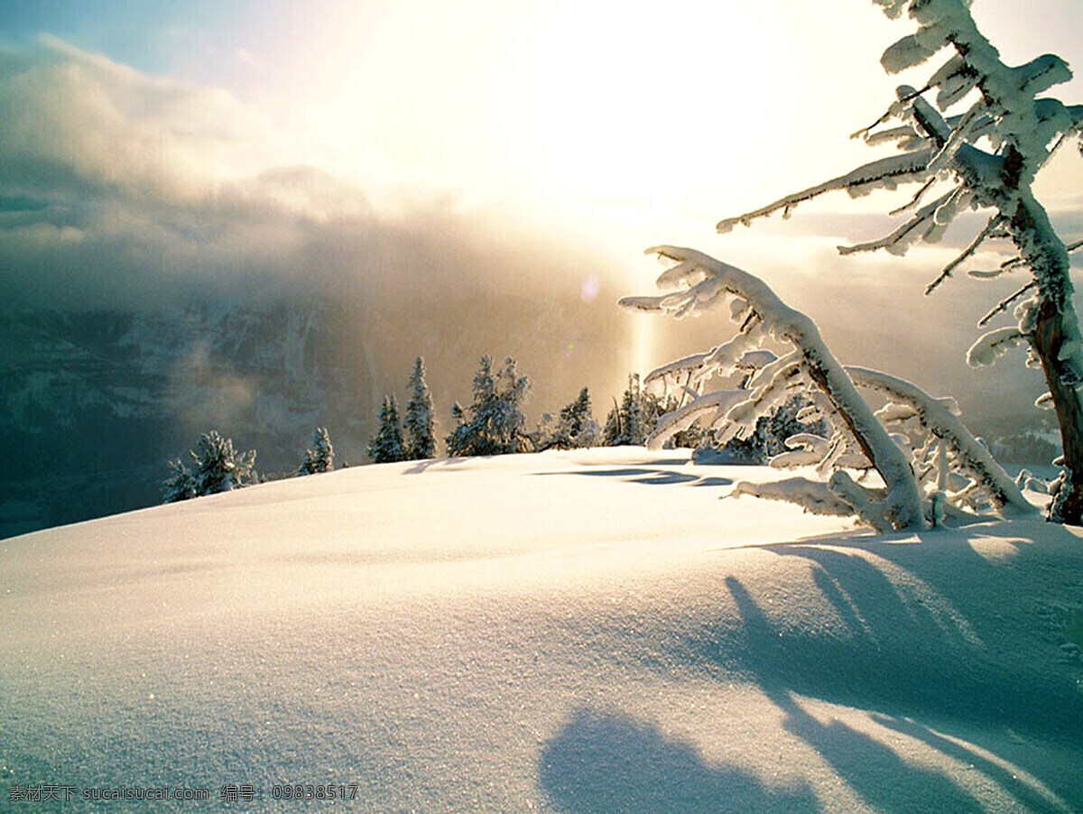 北国风光1 中国北部 白雪皑皑 壮观的 美丽的 旅游摄影 国内旅游 摄影图库 300