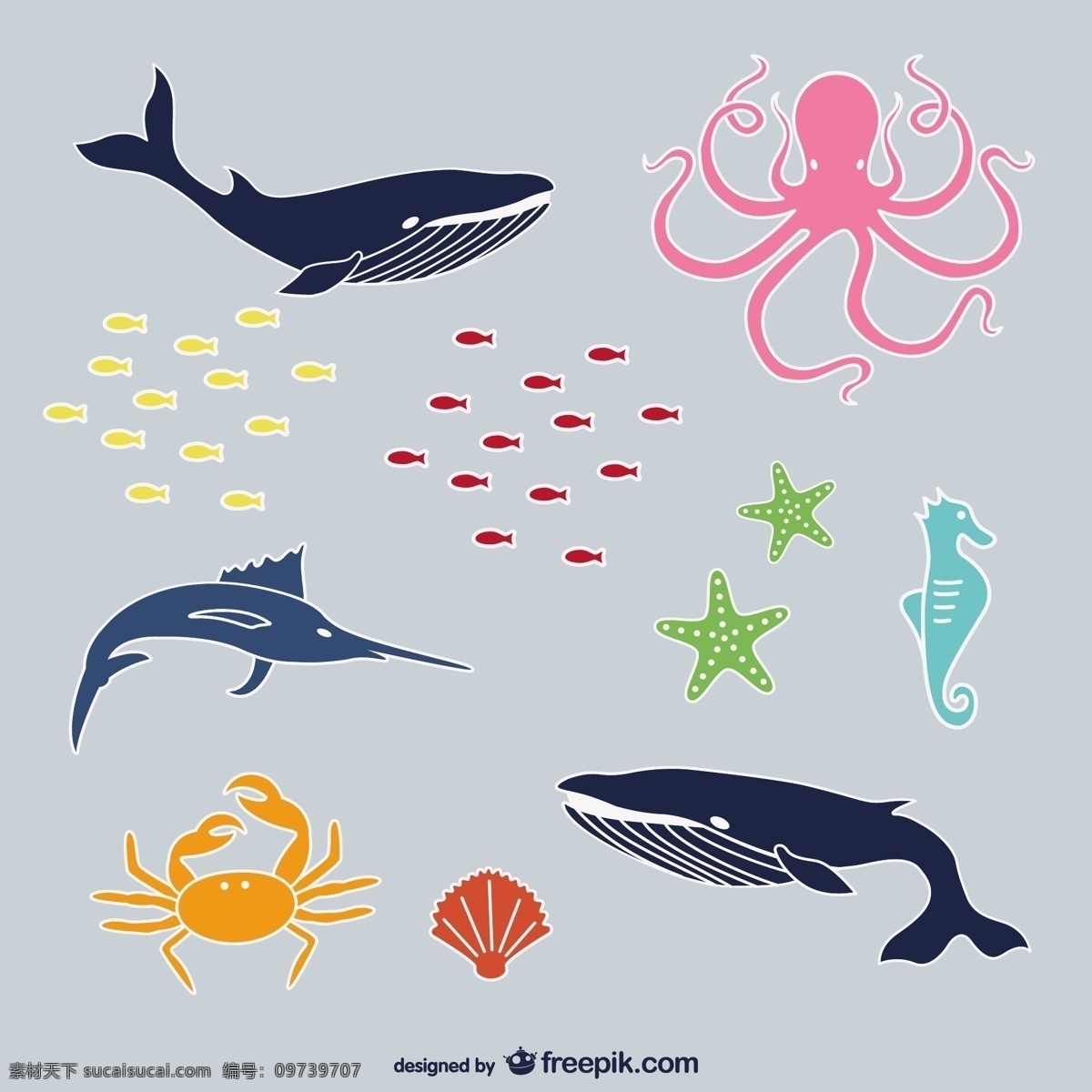 海洋动物 复古 爱 水 图标 鱼 自然 海洋 模板 动物 线 平面 人物 可爱 图形 布局 平面设计 灰色