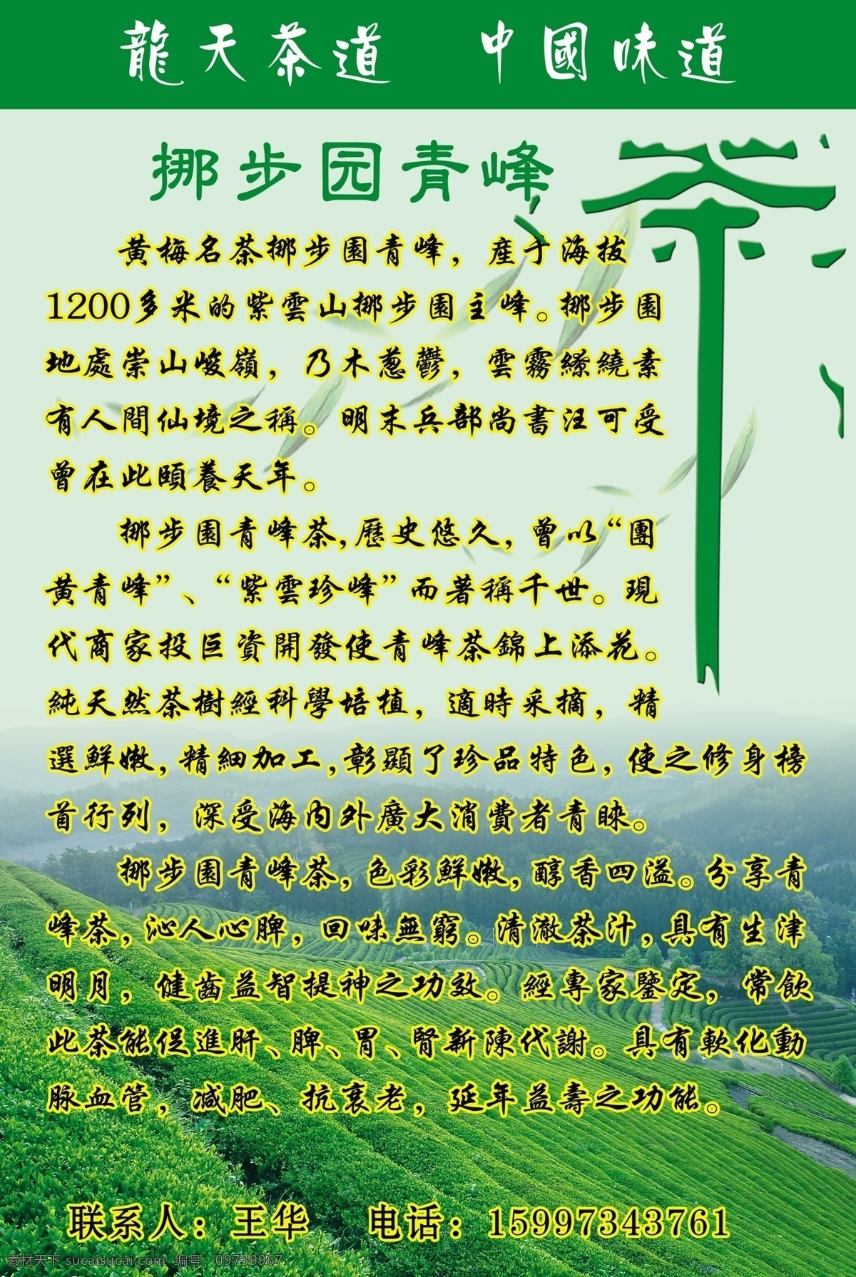 dm宣传单 茶叶 茶叶模板下载 茶叶素材下载 茶园 广告设计模板 源文件 中国味道 挪步园茶叶 青峰茶 psd源文件 餐饮素材